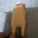 천지 애견 이미지