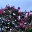 스테이 용연 이미지