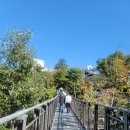 김포한강유도체육관 | DMZ 체험 김포 애기봉 관람 후기