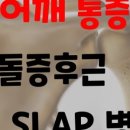 플로웰 이미지