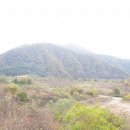 운산리 구라이골 캠핑장 이미지