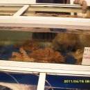 부일상회 이미지