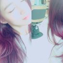 일리다 Daum카페