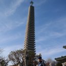 강진-16 Daum카페