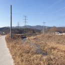 우곡천 Daum카페