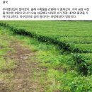 동일농장 스포츠경향