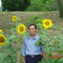 주상완대 Daum카페