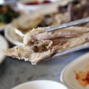 거목민박