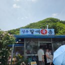 전현무계획 보령 맛집 할매묵촌, 찐한 시골 청국장찌개와 쫄깃한 묵전 웨이팅 후기