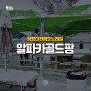 골드팜 | [평창대관령모노레일] 알파카골드팜 후기