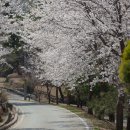 고 수정사 이미지