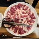 아라동