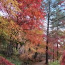 서후리펜션 이미지