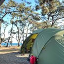 포항 바닷가캠핑장🏕️그린오토캠핑장&amp;헬스포츠발할