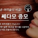 쎄다모 이미지