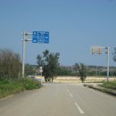 지지렌트카 이미지