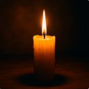 금오행정사 이미지