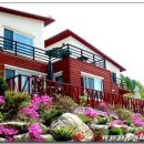 언덕나무펜션 이미지