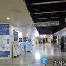 빨라쪼보라매