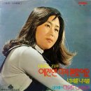 미워도 다시한번 / 이수미 (1973) 이미지