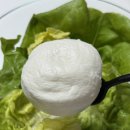 주식회사벨 | 르구르망 벨지오 부라타 부라타치즈 추천 | 샐러드·파스타 집들이음식 활용 후기