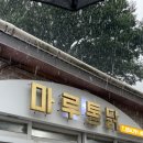 섬꽃향기 민박 | 울렁울렁 울렁대는 가슴안고 #울릉도 트위스트 #1