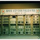 혈서 디지털타임스