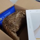 아하다스킨 이미지