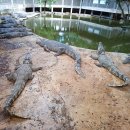 화석농장 이미지