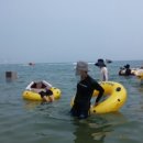 호진상회 이미지