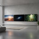 뉴스피드넷PC스테이션 | TV QLED OLED 미니LED 차이 완벽 비교 가이드: 나에게 맞는 디스플레이 선택법