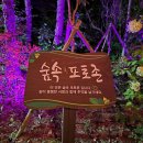 월곶문화센터 | 김포 아이와 가볼 만한 곳 - 월곶저잣거리 축제, 군하 숲길 달빛 놀이터