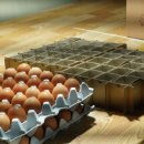 와라농장 이미지