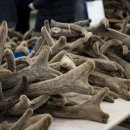 메디스트림 한의원 이미지