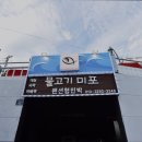 물고기 미포 이미지