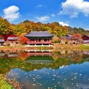 2026.10.30~11.1 [뷰맛집+이쁜길+온천] 펜션 오렌지꽃향기는~&amp;울진 비경(봇드랑길/금강소나무숲길/불영사)&amp;망경산사&amp;덕구온천호 이미지