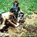 청정신흥마을 이미지