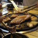 돈굽소 이미지