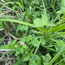 박달금호 | 생물분류기사(동/식물) 실기 후기+ 기타등등