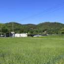 진전면917 이미지