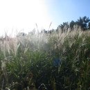 방주목장 이미지