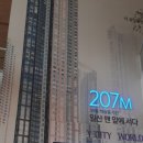 ○백석동 고양백석터미널-요진Y-CITY이면도로 | [일산 백석동] 일산 요진 와이시티 Y city 옵션신청