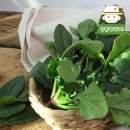 삼촌유통 이미지