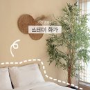 동양모텔 | 부산 연화리 감성숙소 스테이화가 내돈내산 솔직후기