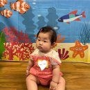 도형목욕탕 | 수지 이마트/ 6개월 문센 23년 여름학기 도레미팡팡