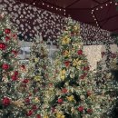 반야월로 | 신세계 센텀 두바이식 쫀득쿠키 득템 후기｜크리스마스 빌리지 먹부림 코스 총정리