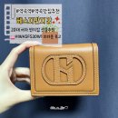 W-5 | [헤지스반지갑] 진짜 실용적인 선물 찾는다면 HIWA5F530W1 솔직후기