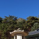 반듯한 멍이 이미지