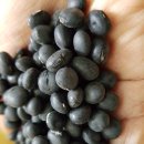 민속한의원 | 2026 김제강소농 행복을 주는 사람들 연시총회 및 건강힐링코스 체험 후기