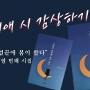 선우미애 시 감상 | 따뜻한 영혼이 느껴지는 시를 쓰고 싶어요 이미지